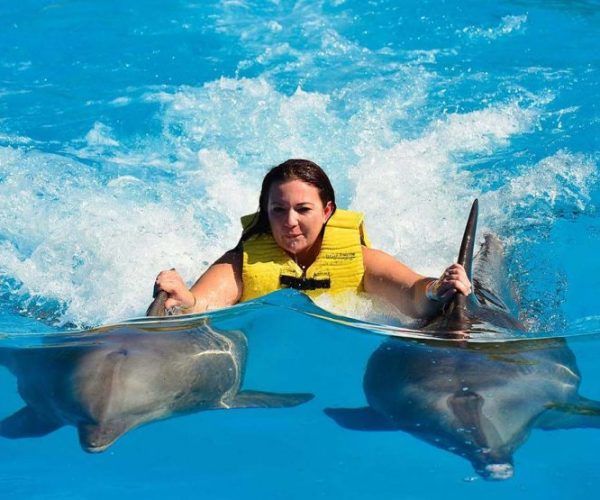 Hurghada: Swim with Dolphins Experience