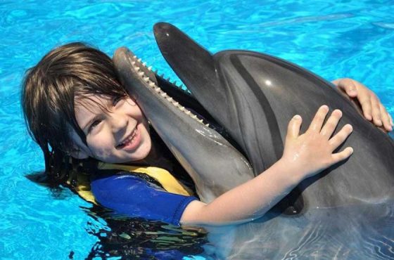 Hurghada: Dolphin Photo Session Experience