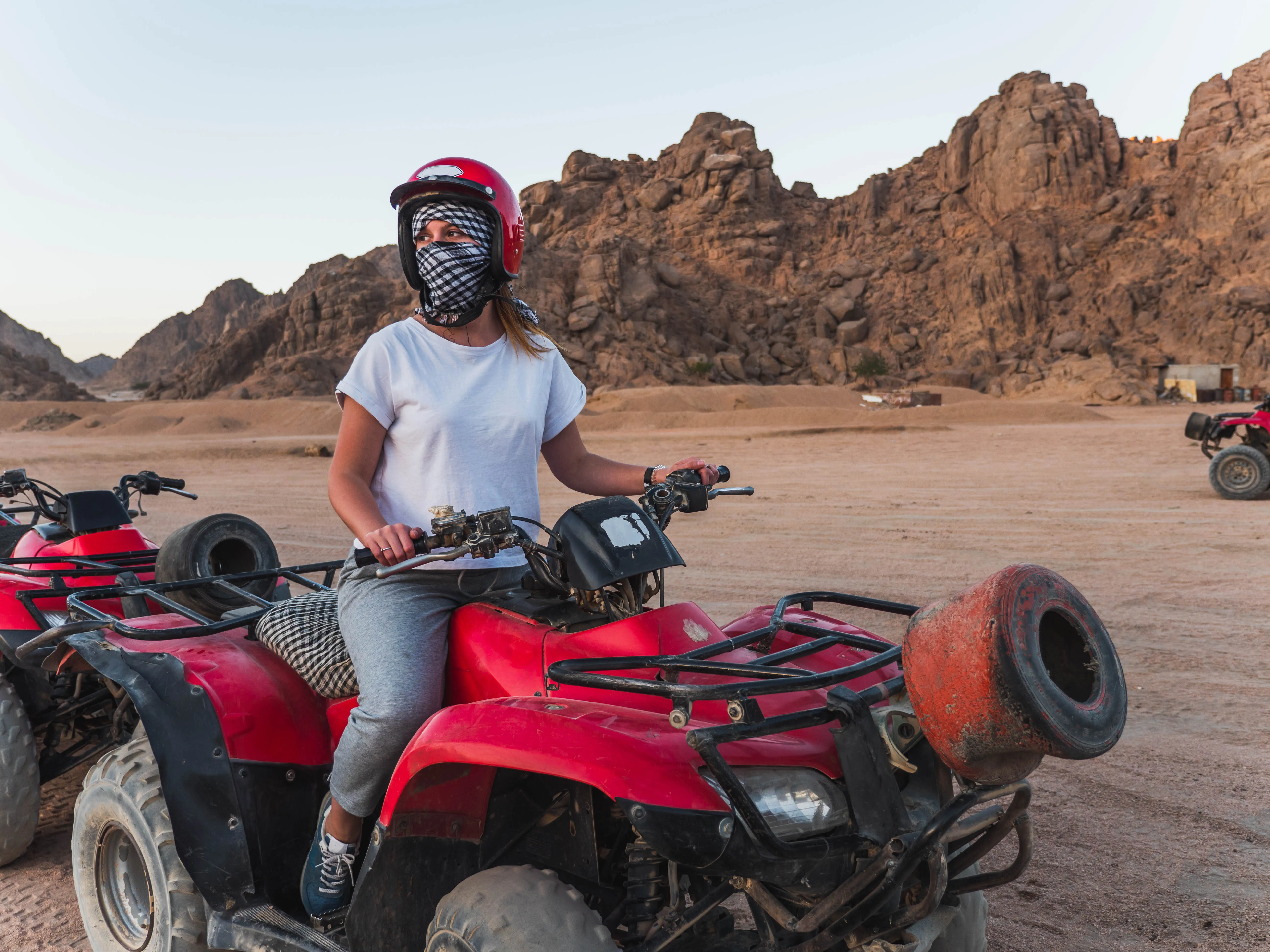 From EL Gouna: Quad Safari, Bedouin Village, & Camel Ride