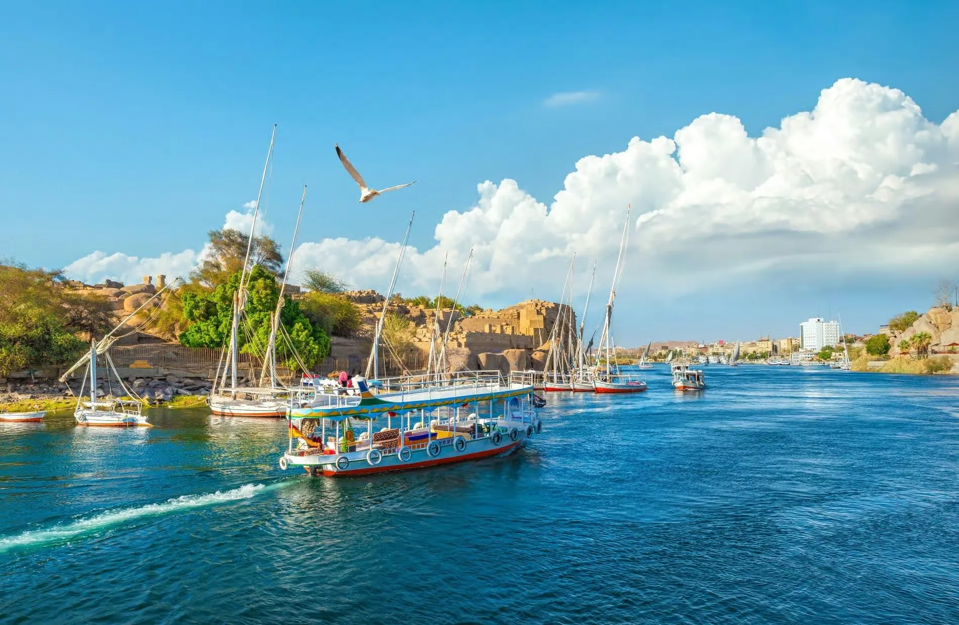 From El Gouna: Luxor Highlights, King Tut Tomb & Nile Boat Trip