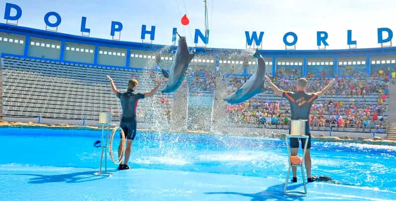 Hurghada: 1-Hour Show at Dolphin World with transfer