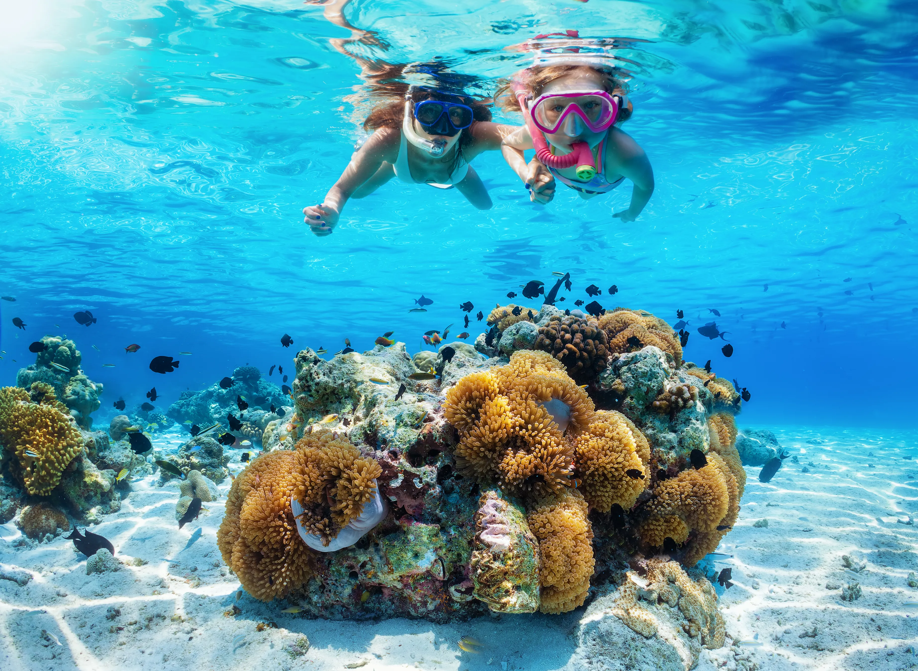 Hurghada: Red Sea Snorkeling Day Tour with Lunch and Yacht