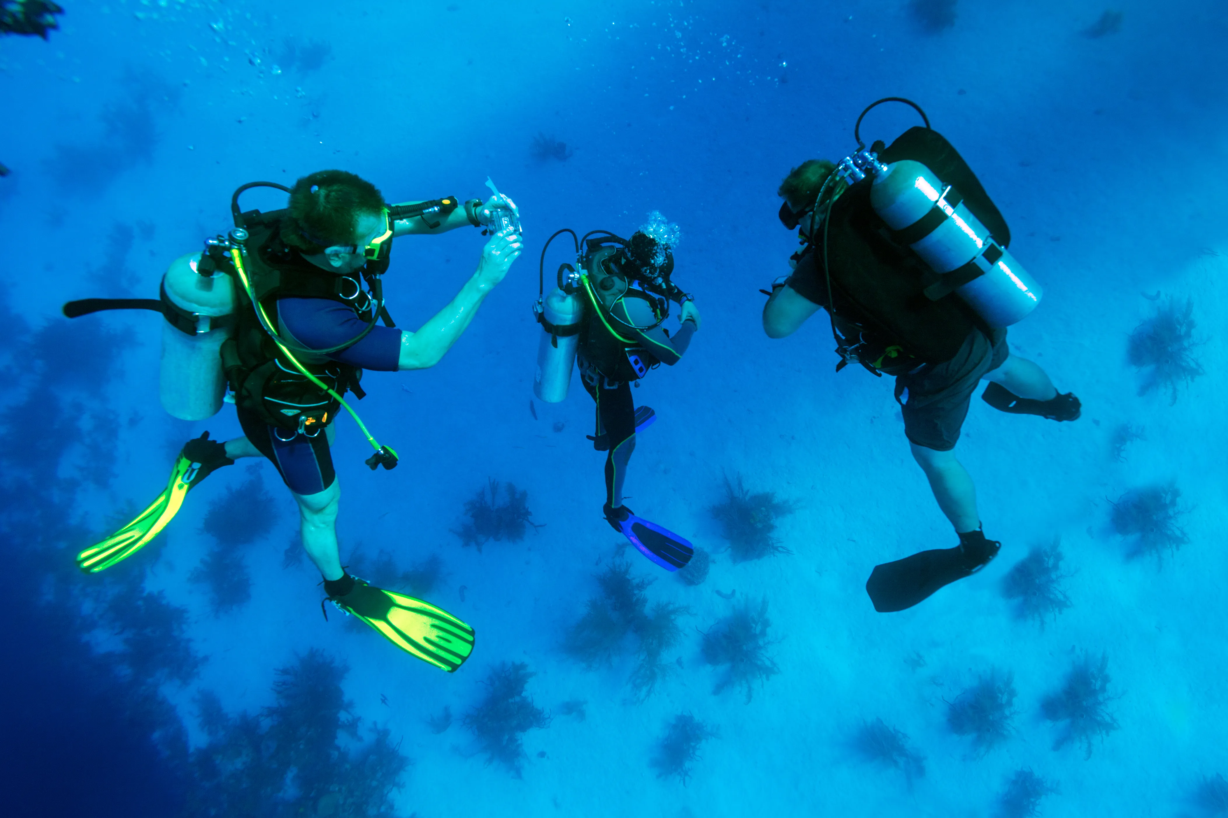 Hurghada: Orange Island Snorkeling, Diving with lunch