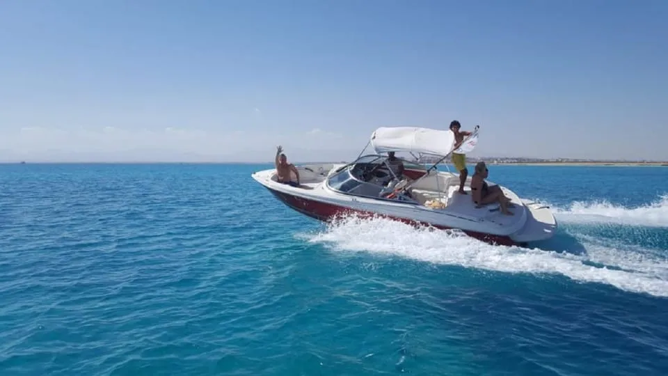 Hurghada: Private Dolphin Watching Speedboat Trip with Snorkeling