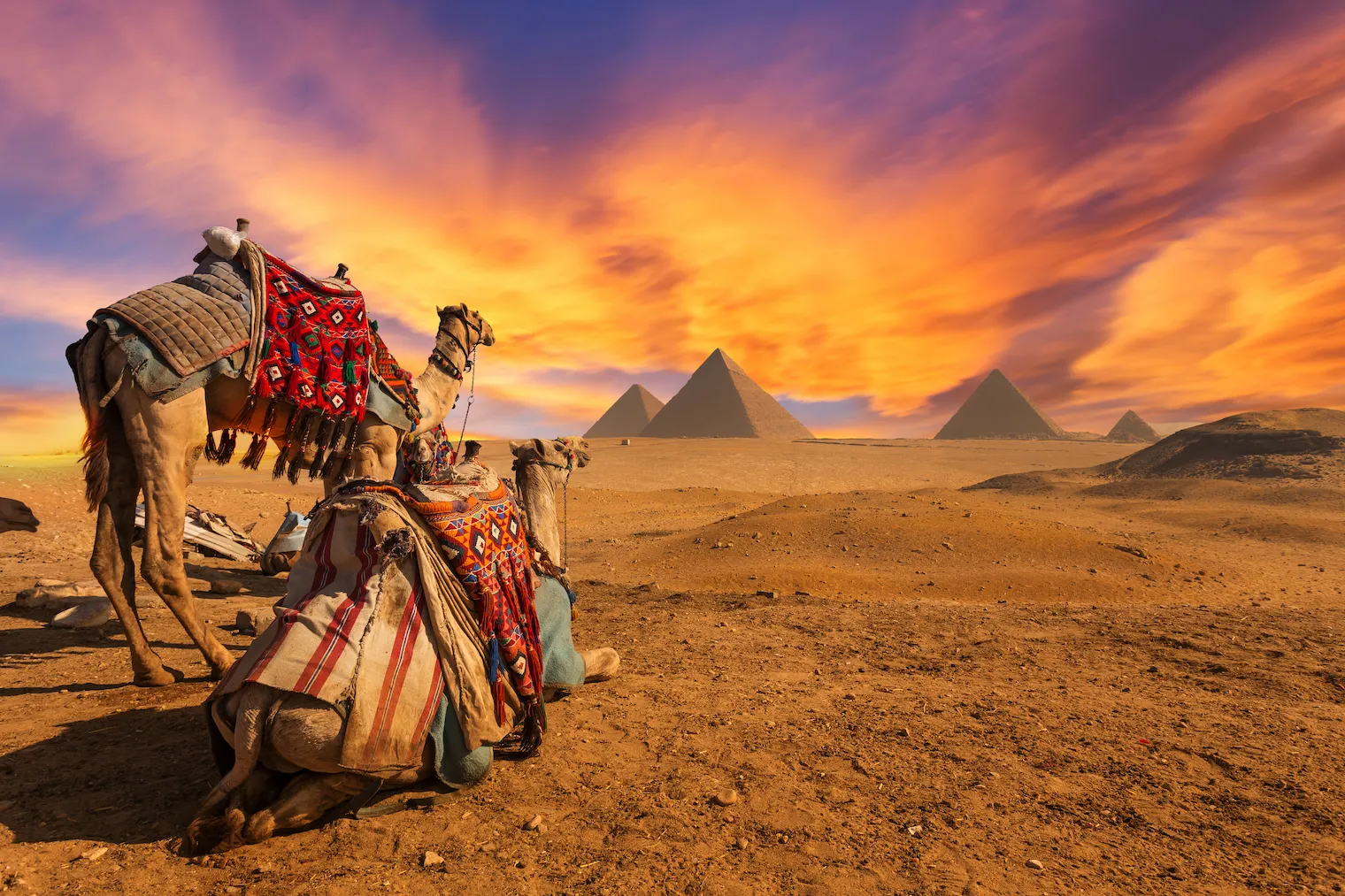 Hurghada: Camel Ride along Pyramids of Giza & Cairo Museum
