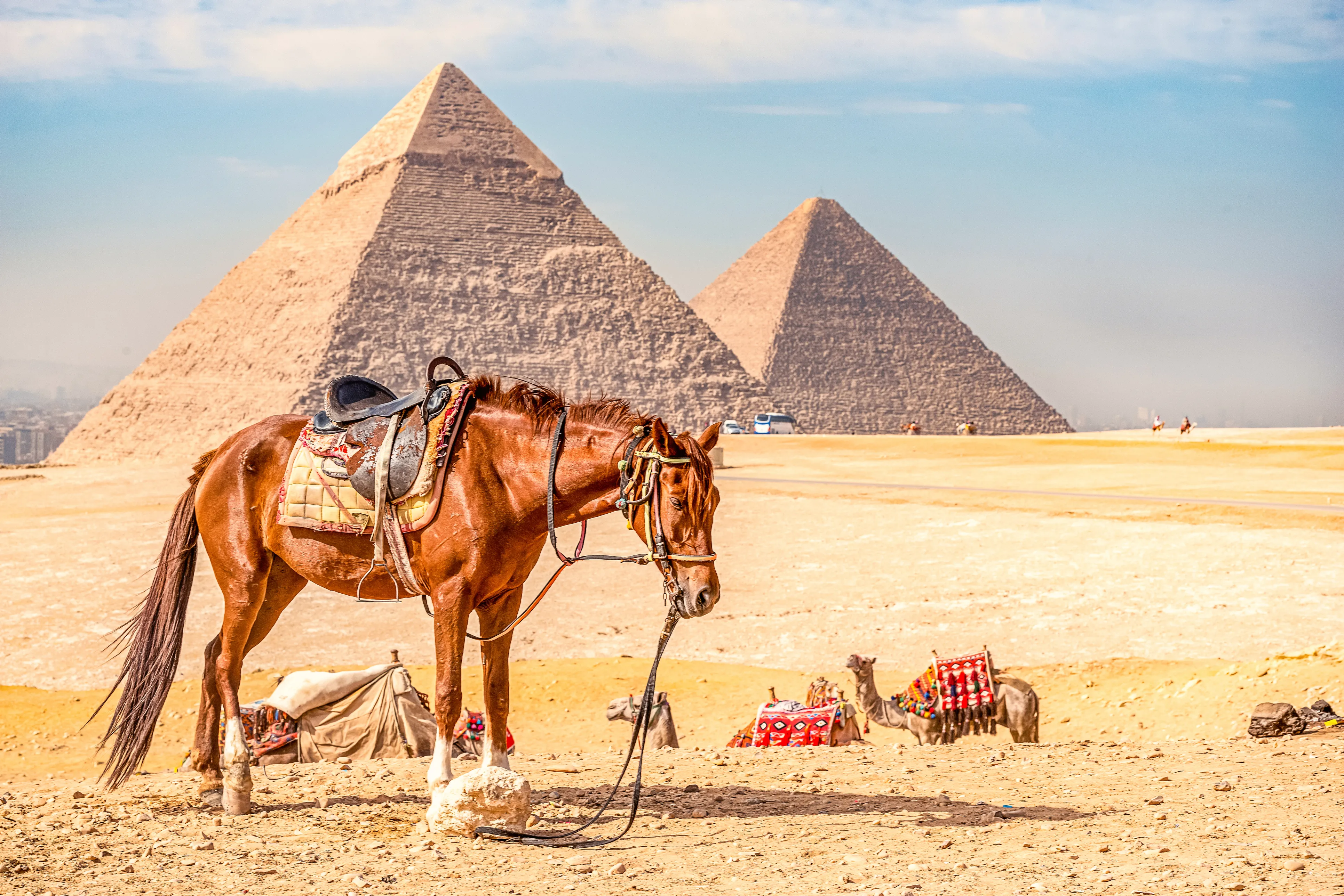 Hurghada: Cairo Day Trip with Horse Ride Along Giza Pyramids