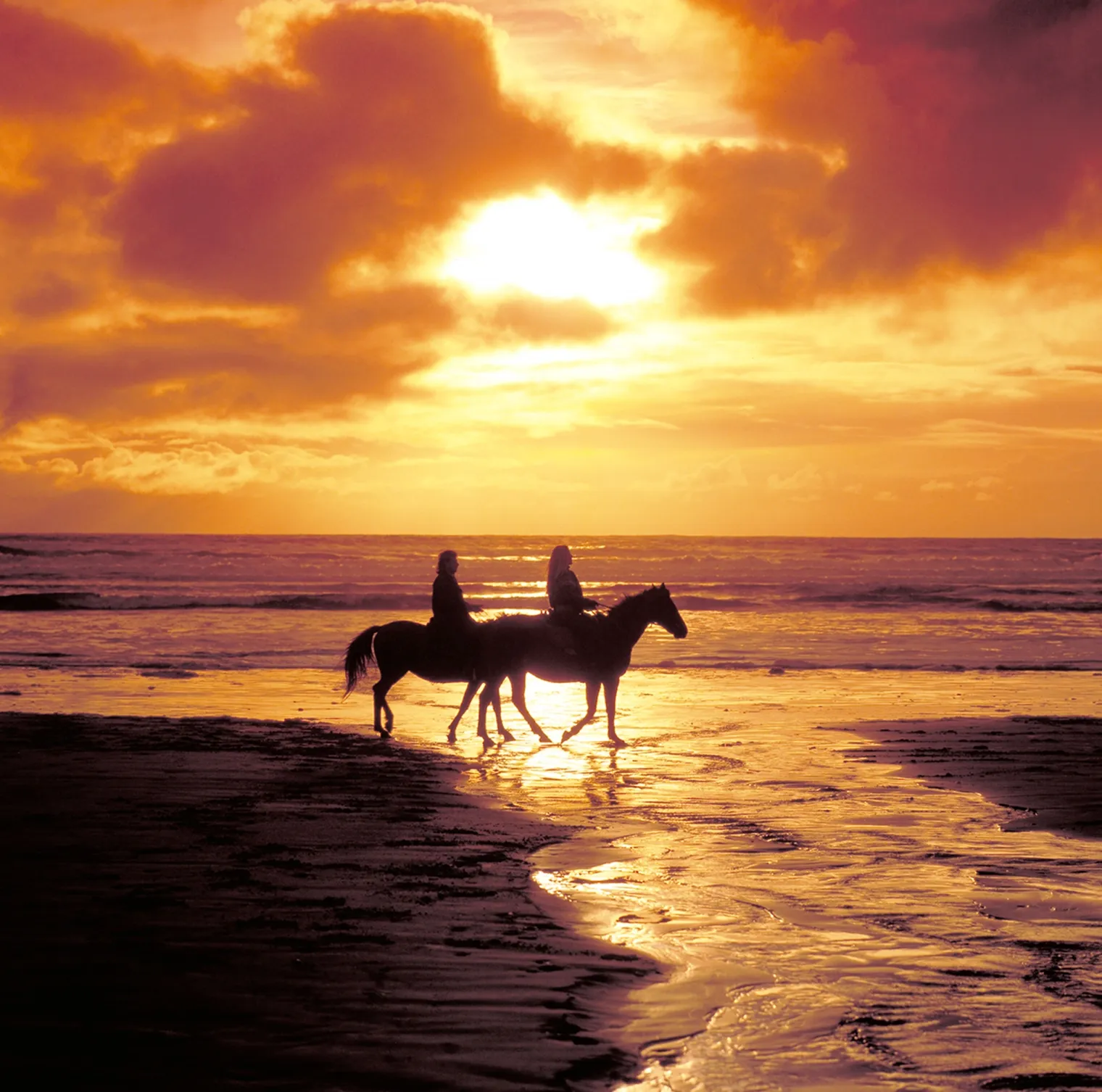 Hurghada: Sunrise Horse Ride by the Sea and Desert