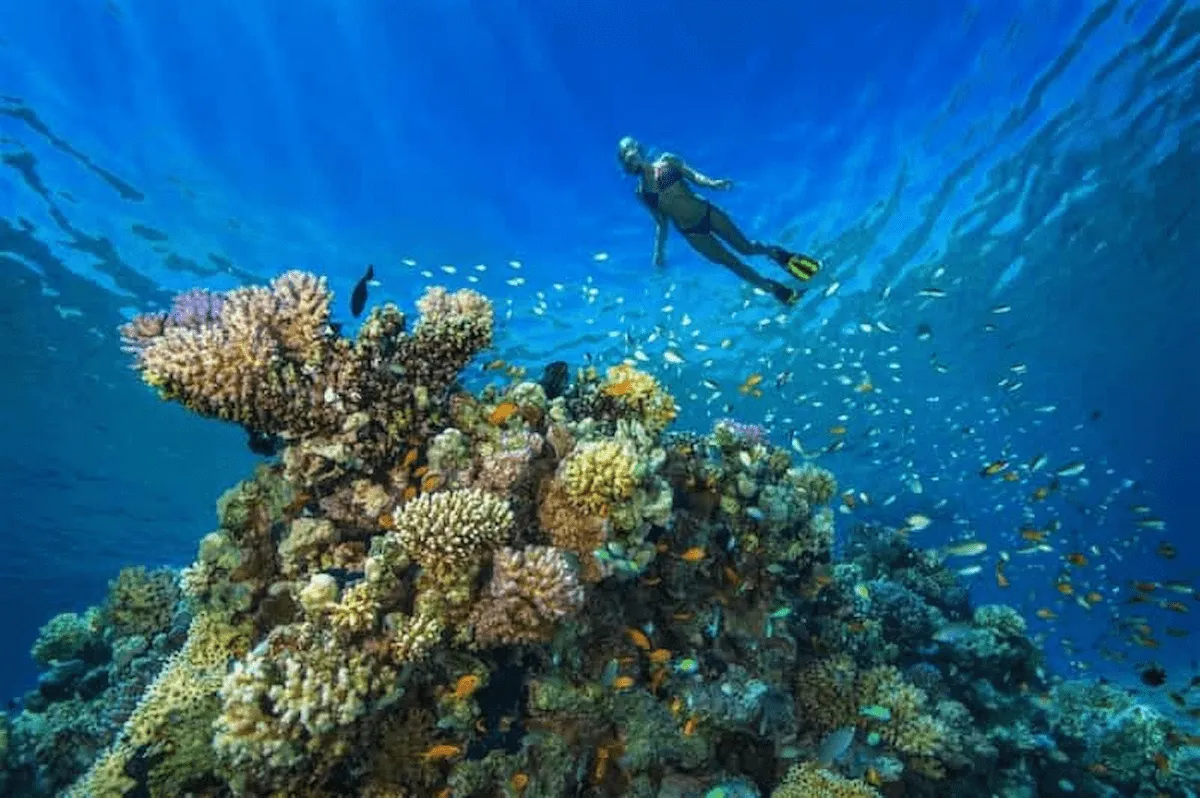 Hurghada: Orange Island Boat Trip with Snorkel & Parasailing